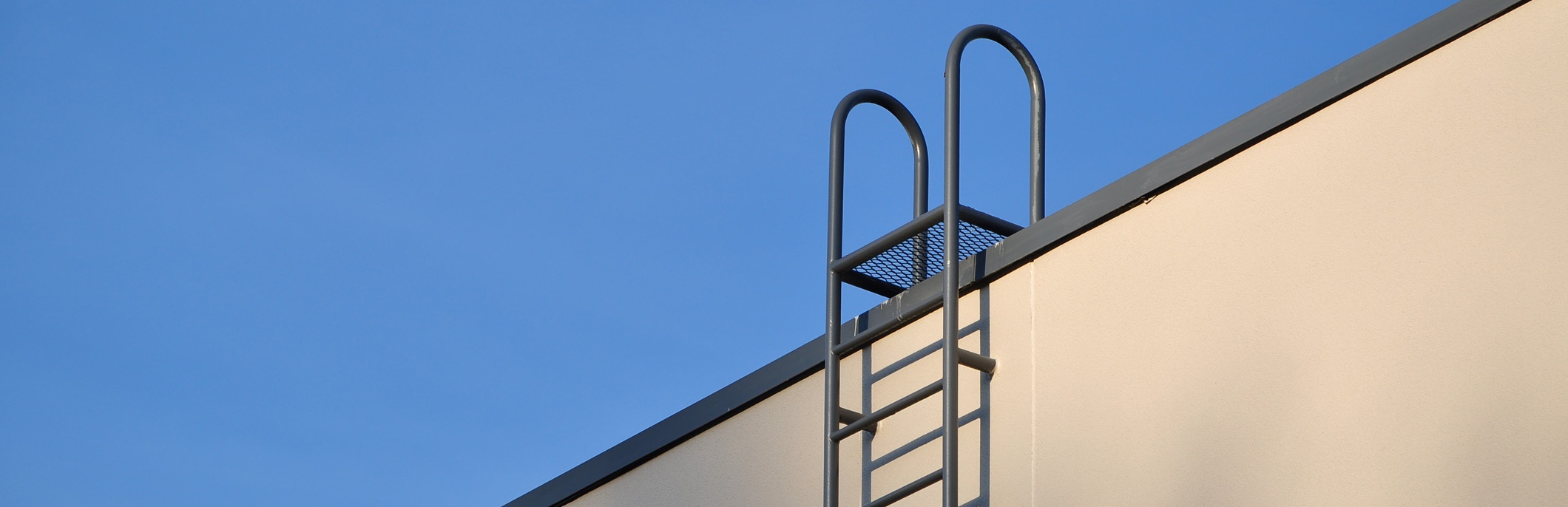Specialty Roof Top Ladder